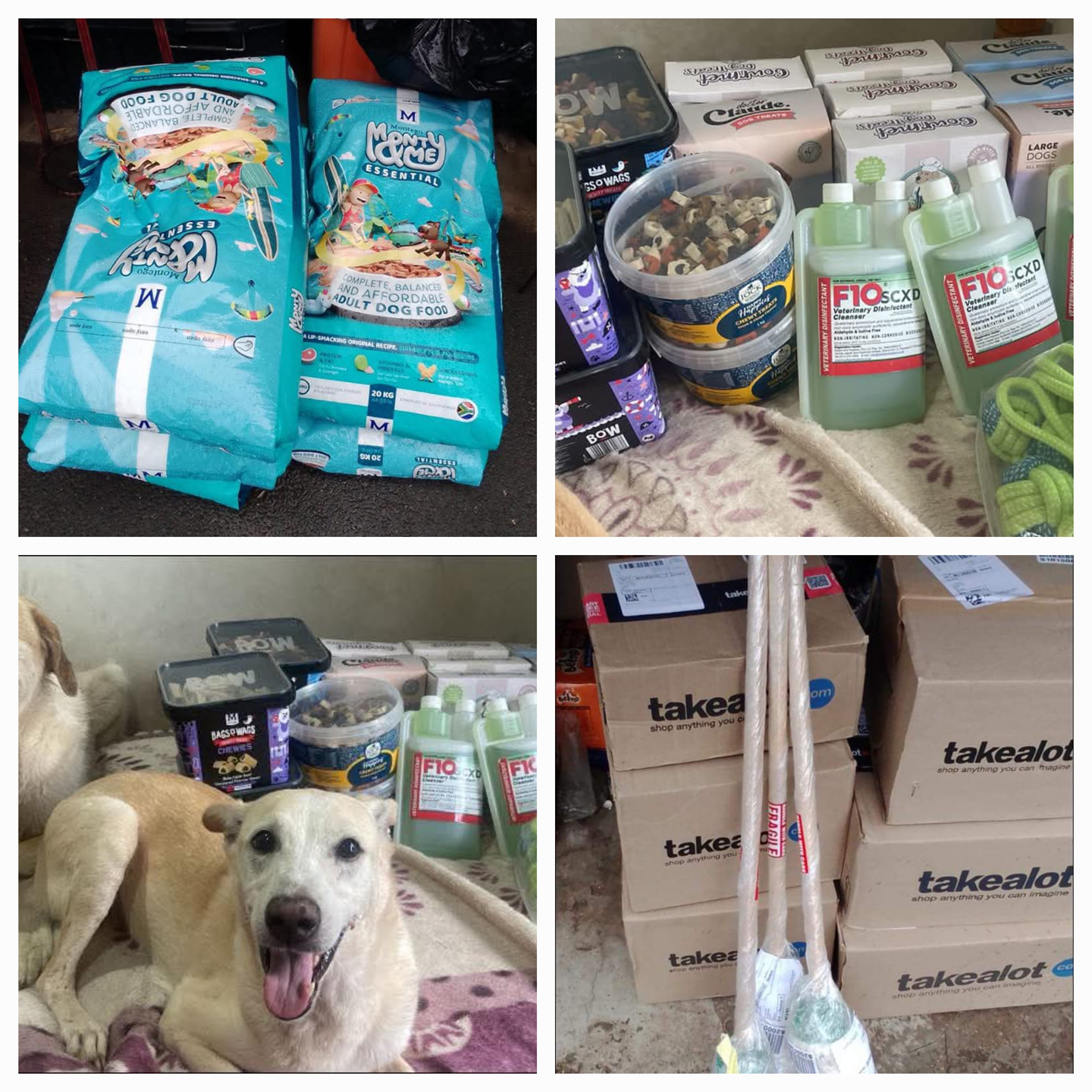 The Blue Bundu Brigade Animal Rescue & Rehoming